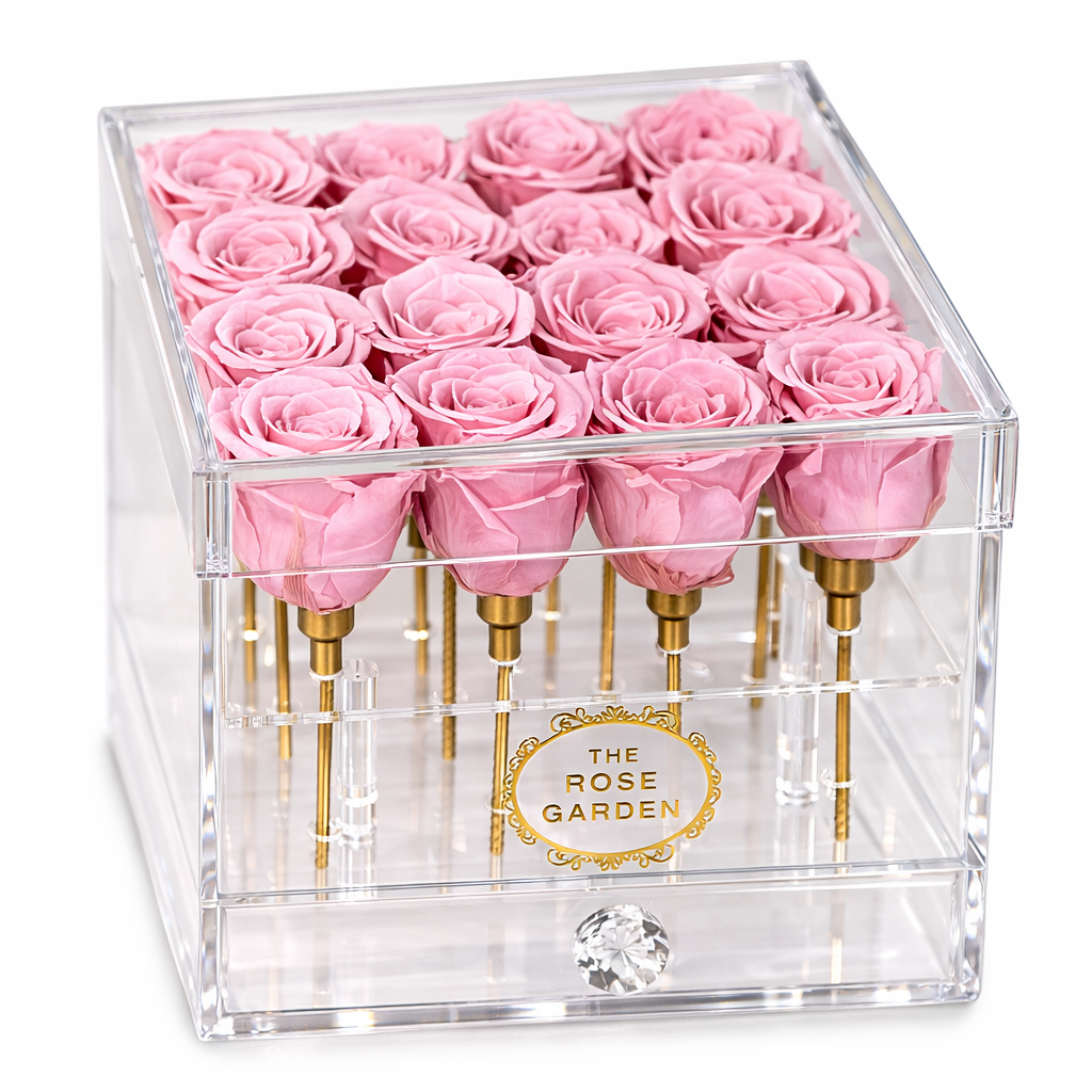 Medium Glass Box