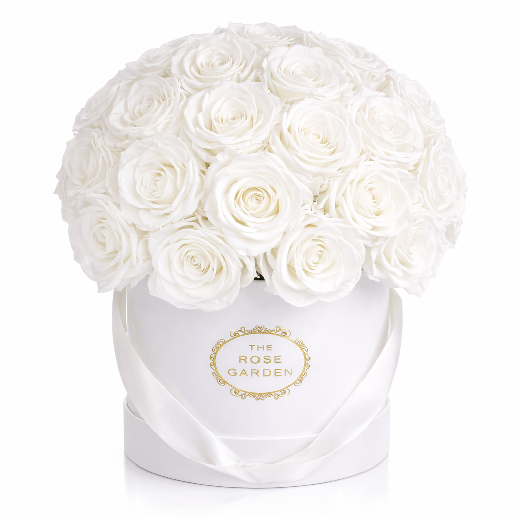 Medium Dome Box