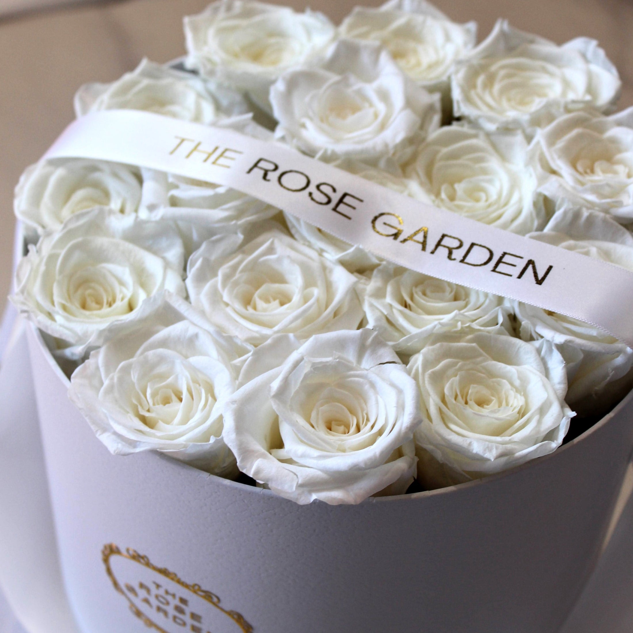 Grand Box
