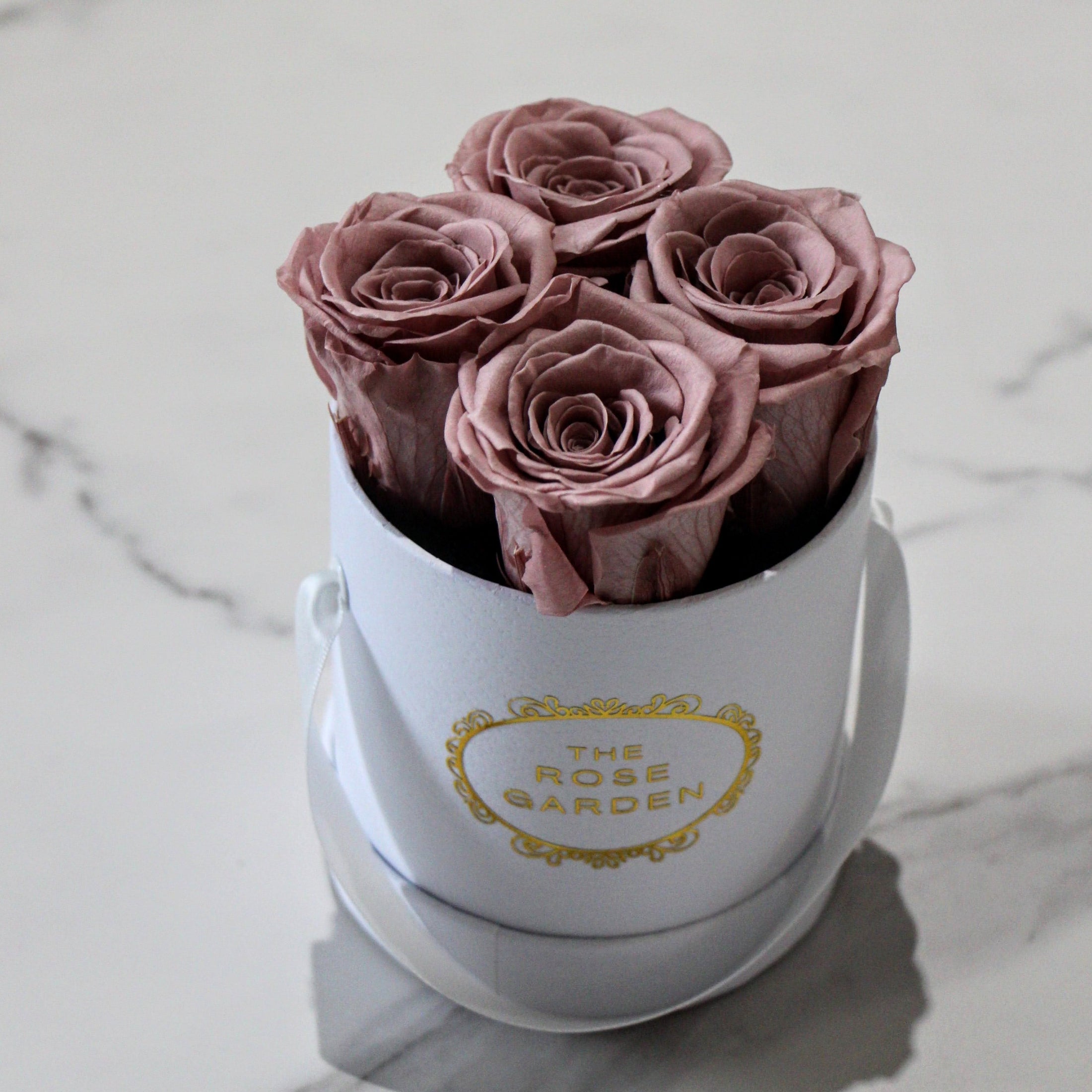 Petite Box