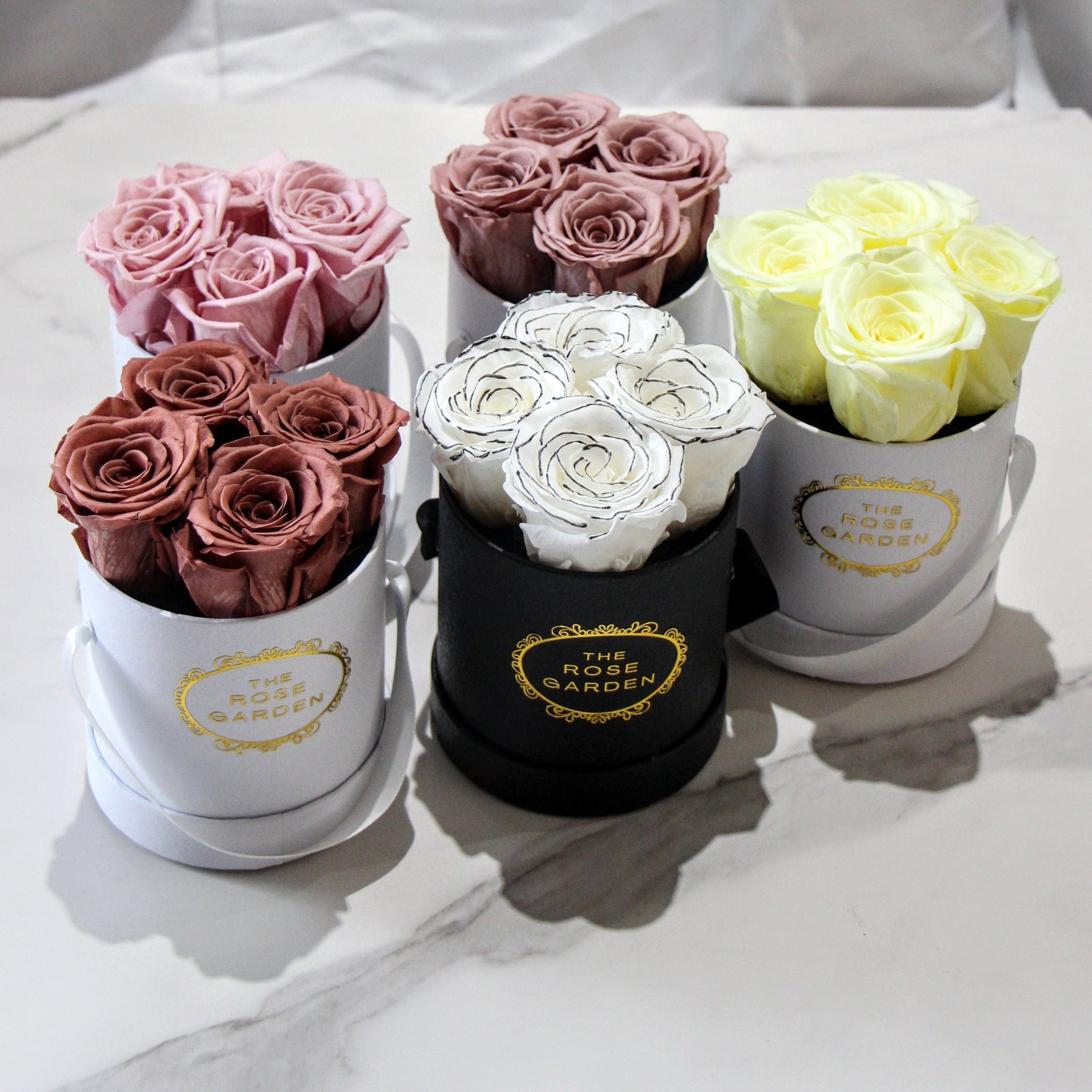Petite Box