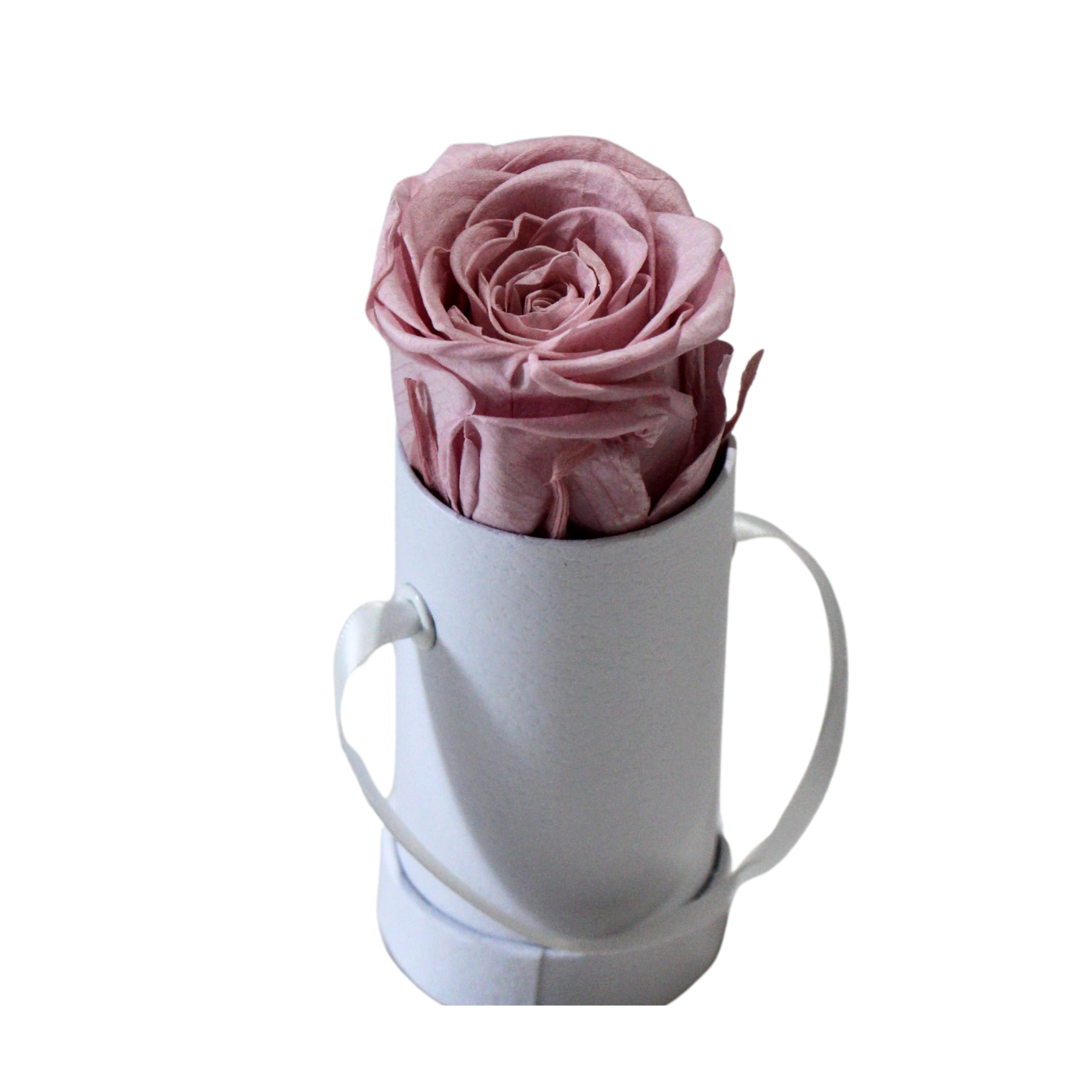 Très Petite Rose