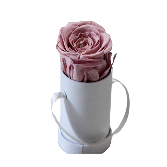 Très Petite Rose
